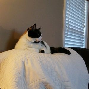 Meet your Posher, Staci